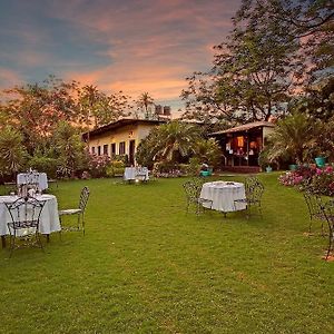 Hill 'N' You - A Boutique Garden Resort